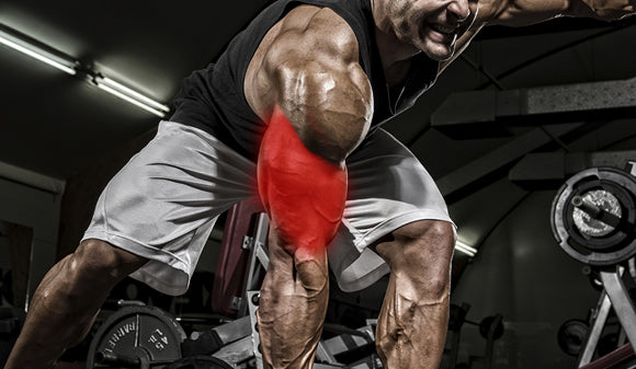 Ácido araquidónico, inflamación y síntesis de proteínas musculares