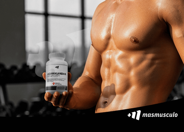 Ashwagandha y testosterona: ¿cómo influye en el rendimiento deportivo?