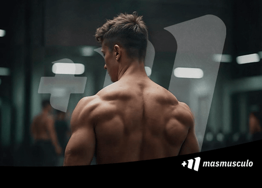 Consigue unos trapecios más grandes: los 5 mejores ejercicios trapecio