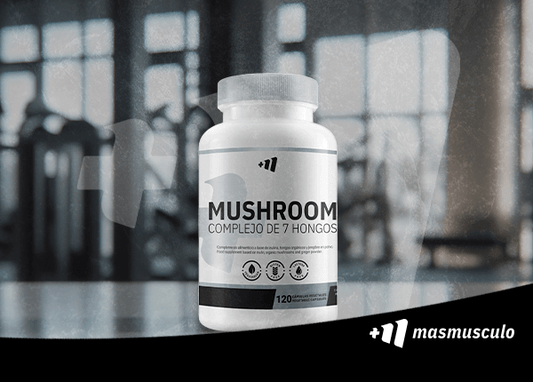 Cómo Mushroom apoya tu salud: Beneficios de los hongos funcionales