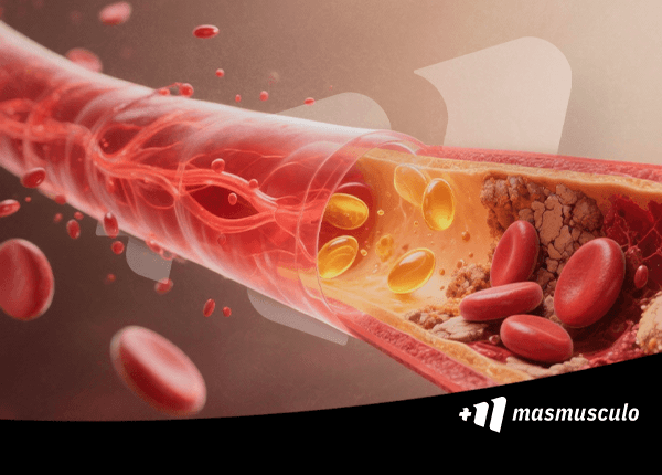 Dislipidemia: Causas y tratamientos