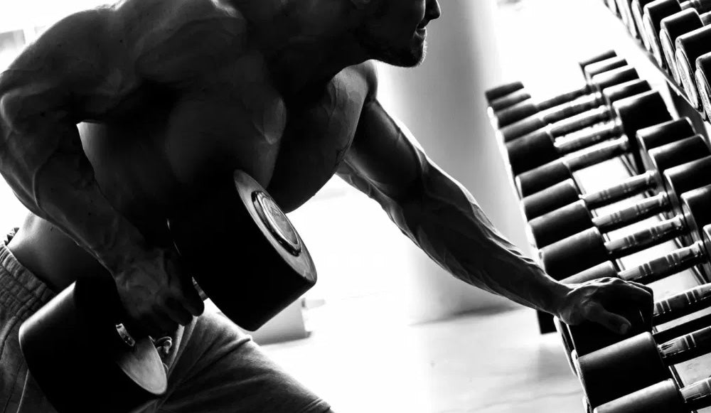 Un programa de entrenamiento ¿basado en la ciencia?