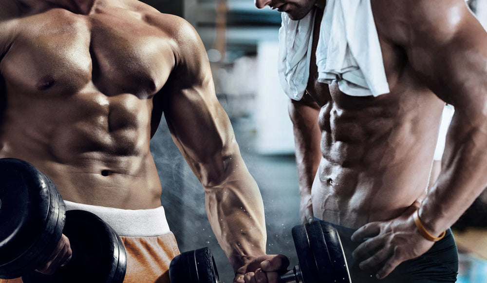 ¿Bulking o Cutting? ¿qué hacer para alcanzar tus objetivos?