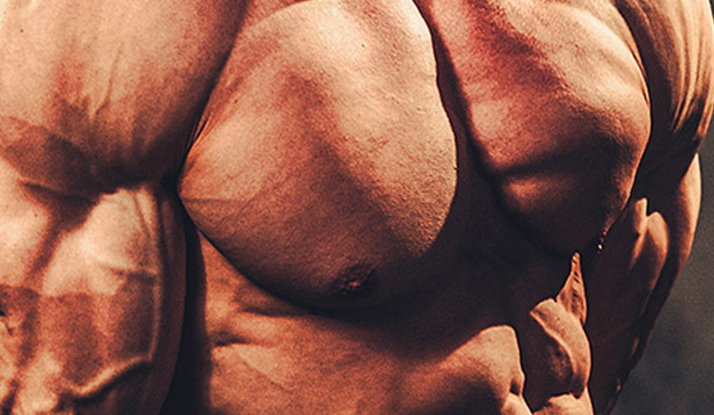 Fibras musculares, ¿cómo se las estimulan?
