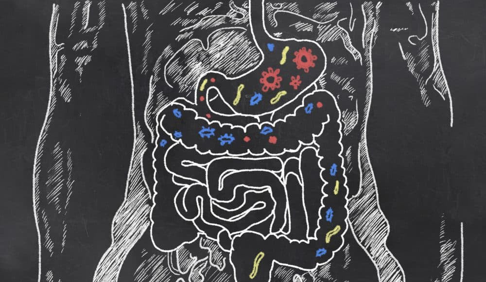 Suplementos para la salud intestinal del atleta