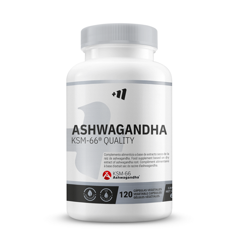 Ashwagandha KSM-66® 600mg - Masmusculo Supplements 0
