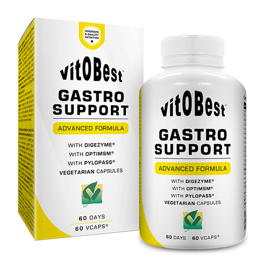 Gastro Support de la marca VitoBest en Digestivos