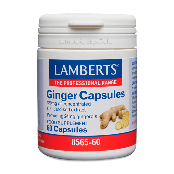Jengibre - Lamberts 0