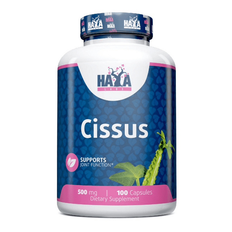 Cissus 500mg - Haya Labs 0